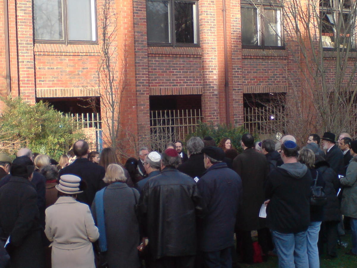 Holocaust Memorial commemorations have been held round the tree